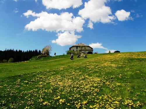 Meltar Boutique Hotel Golf & Spa Asiago Exterior foto